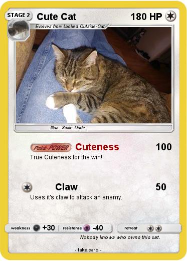 Pokemon Cute Cat