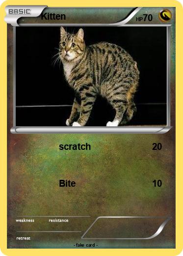Pokemon Kitten