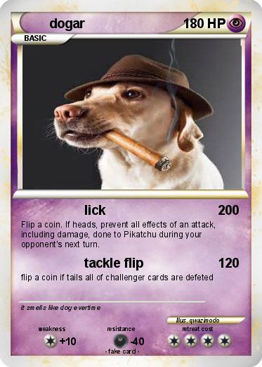 Pokemon dogar