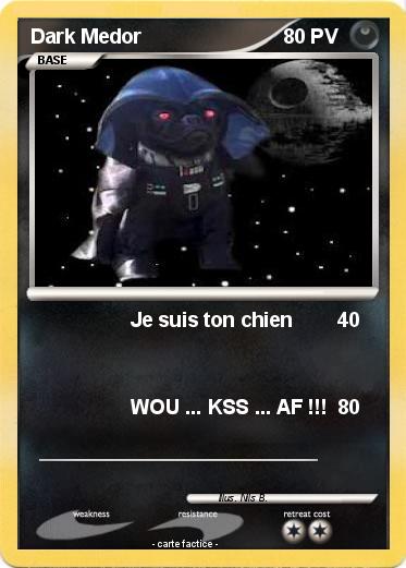 Pokemon Dark Medor