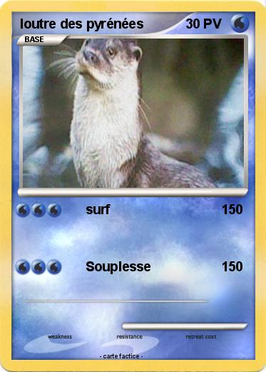 Pokemon loutre des pyrénées