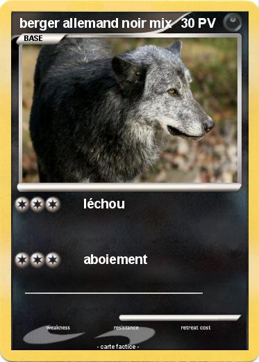 Pokemon berger allemand noir mix