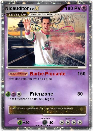 Pokemon Nicauditor