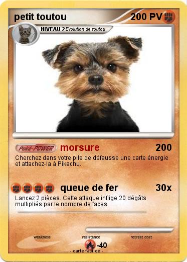 Pokemon petit toutou