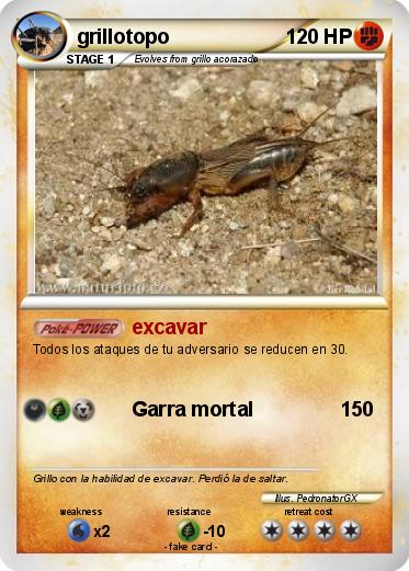 Pokemon grillotopo