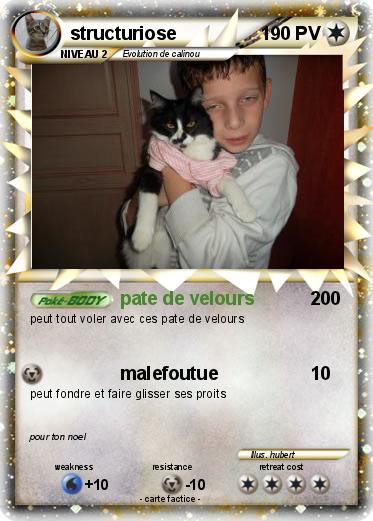 Pokemon structuriose