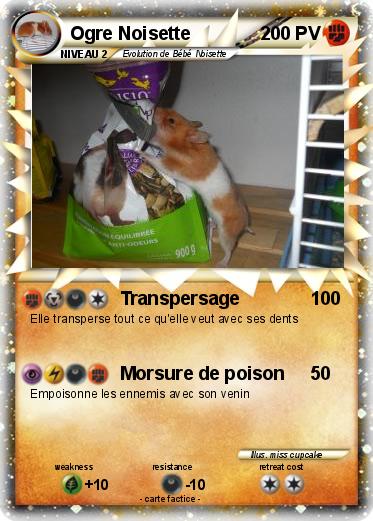 Pokemon Ogre Noisette