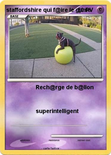 Pokemon staffordshire qui f@ire le gµme