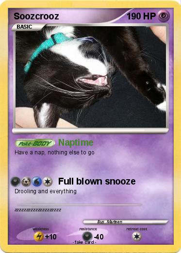 Pokemon Soozcrooz