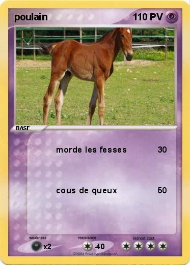 Pokemon poulain