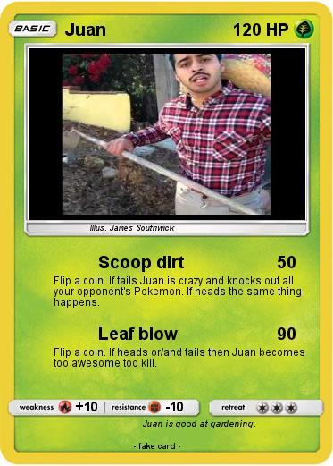 Pokemon Juan