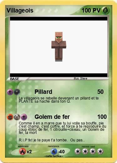 Pokemon Villageois
