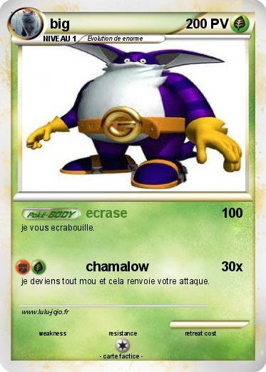 Pokemon big