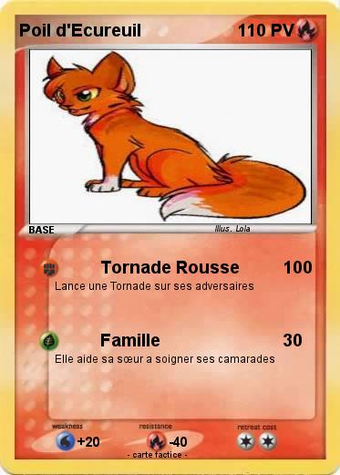 Pokemon Poil d'Ecureuil