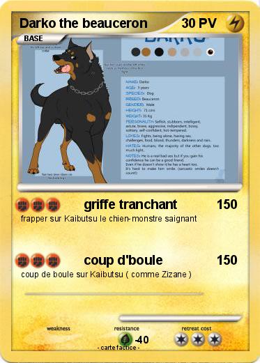 Pokemon Darko the beauceron