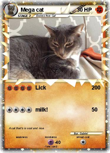 Pokemon Mega cat