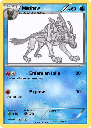 Pokemon Matthew