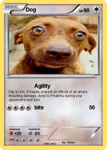 Pokemon Dog