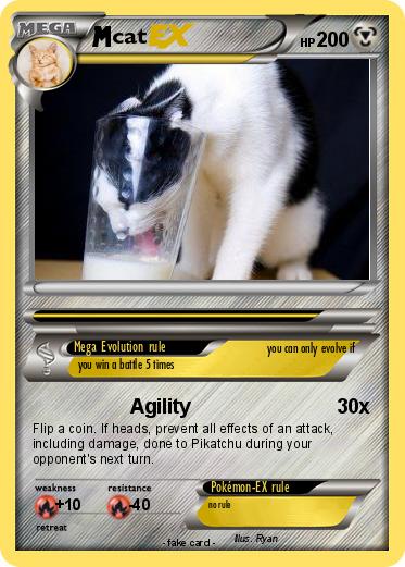 Pokemon cat