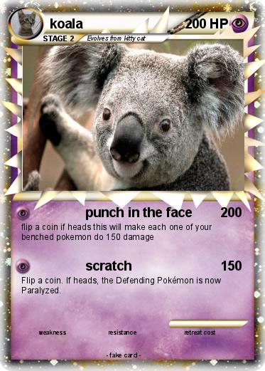Pokemon koala
