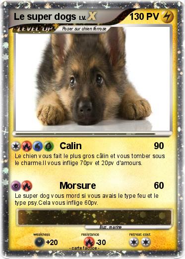 Pokemon Le super dogs