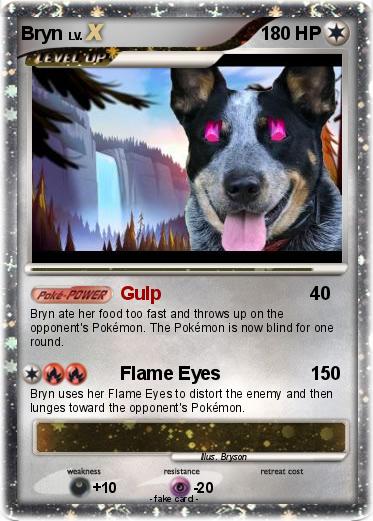 Pokemon Bryn