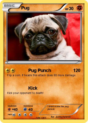 Pokemon Pug