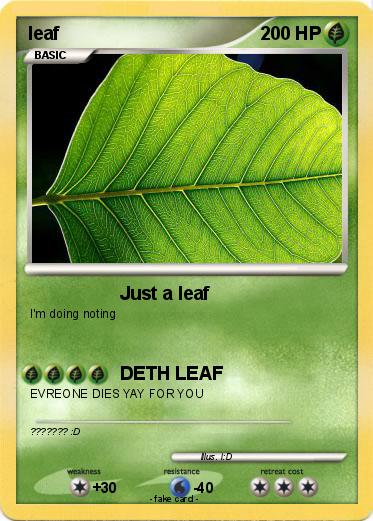 Pokemon leaf