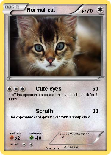 Pokemon Normal cat