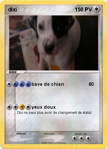 Pokemon dixi