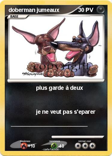 Pokemon doberman jumeaux