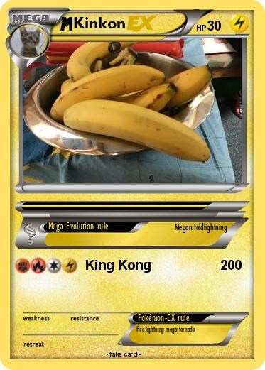 Pokemon Kinkon