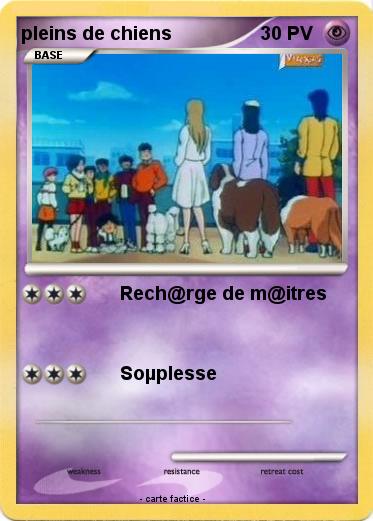 Pokemon pleins de chiens