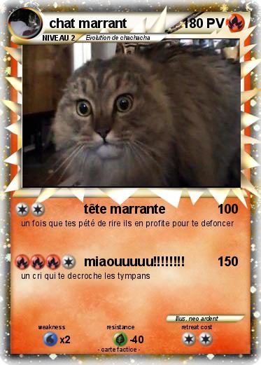 Pokemon chat marrant