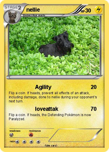 Pokemon nellie