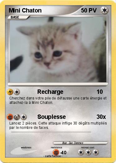 Pokemon Mini Chaton