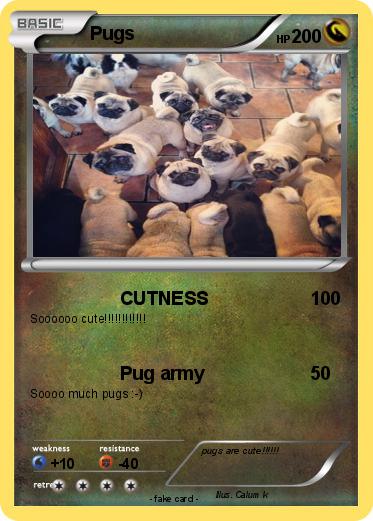 Pokemon Pugs