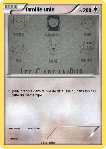 Pokemon famille unie