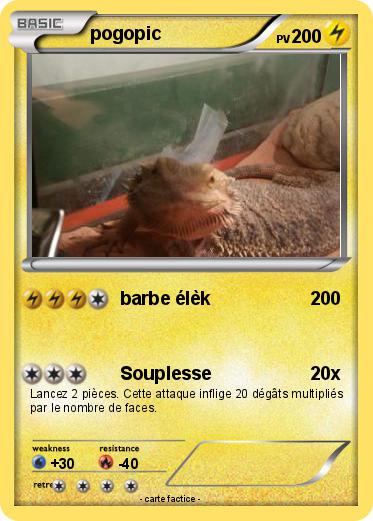 Pokemon pogopic