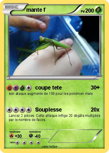 Pokemon mante f