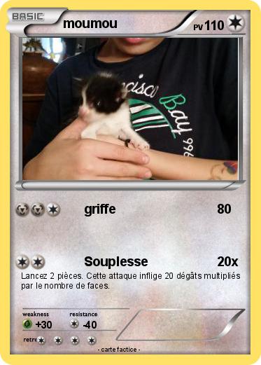 Pokemon moumou