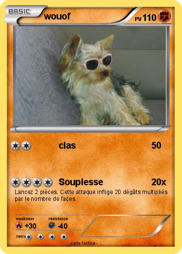 Pokemon wouof