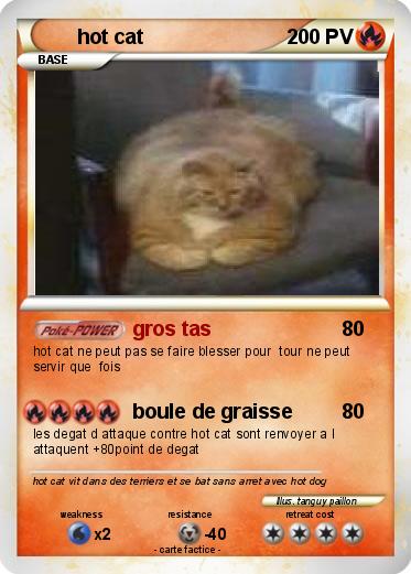 Pokemon hot cat