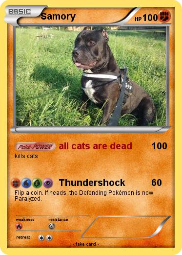 Pokemon Samory