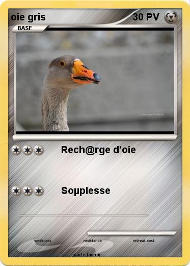 Pokemon oie gris