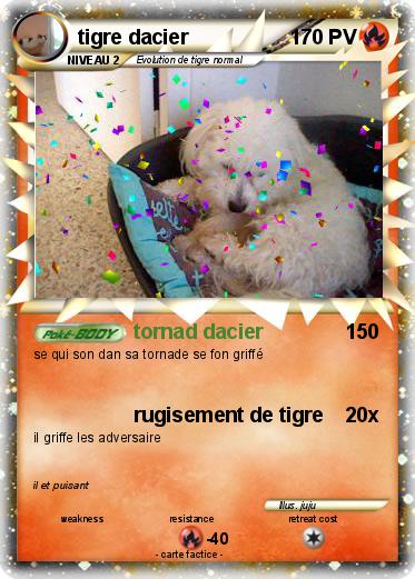 Pokemon tigre dacier