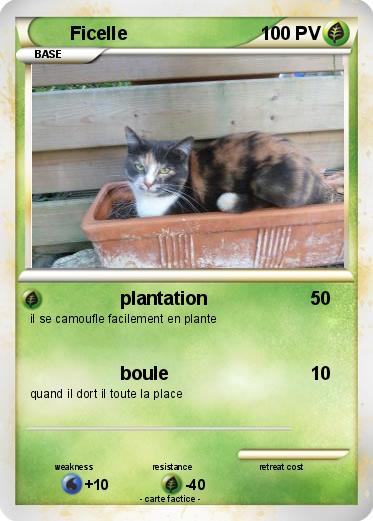 Pokemon Ficelle