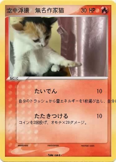 Pokemon 空中浮揚　無名作家猫