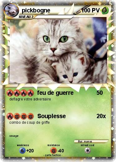 Pokemon pickbogne