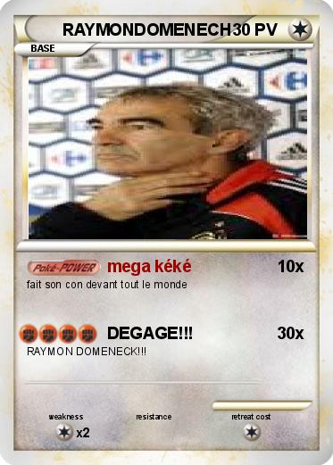Pokemon RAYMONDOMENECH
